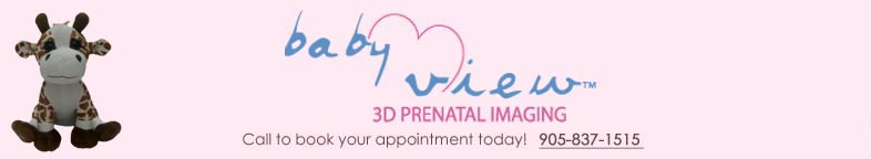 F A Q babyview header